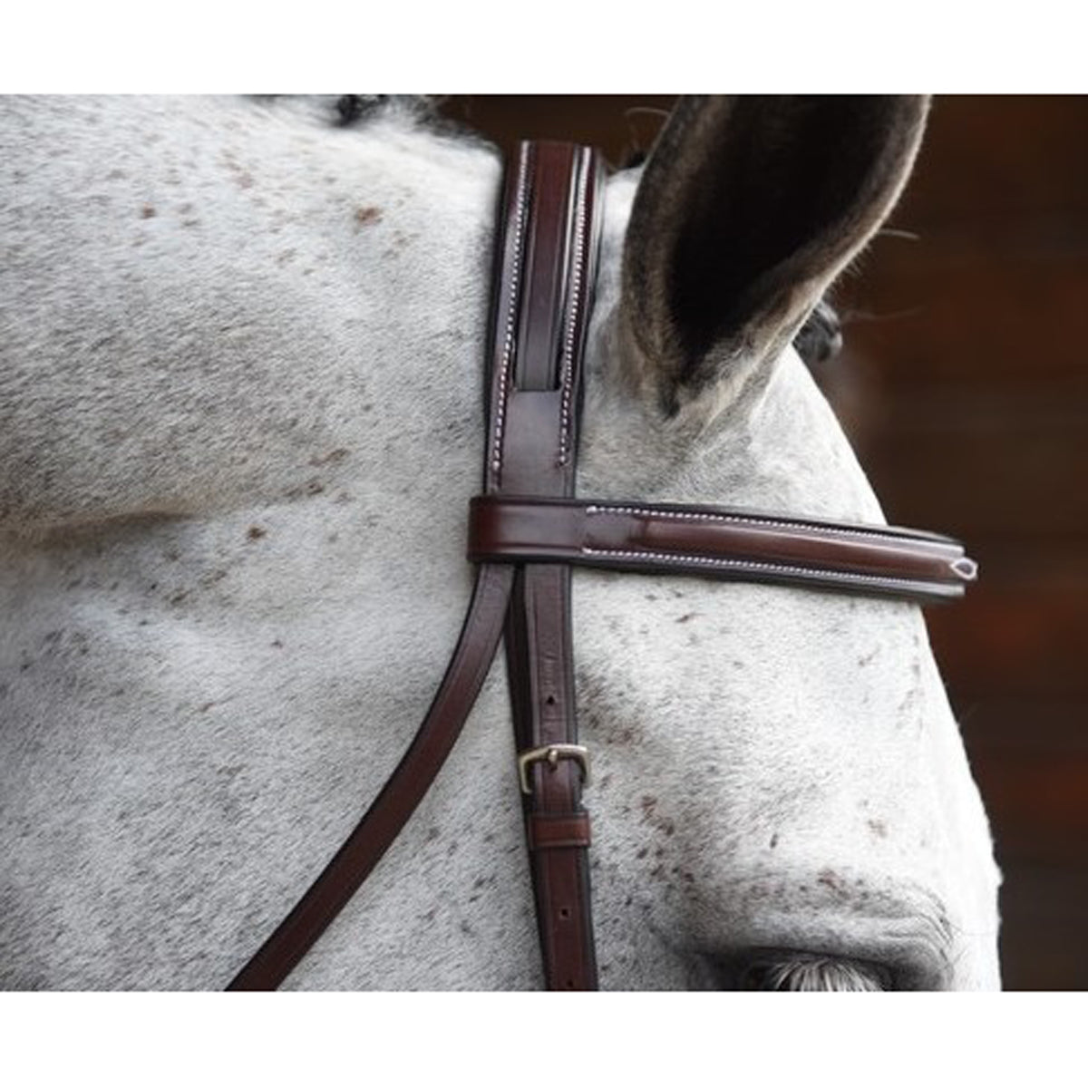 KL Select Italia Middleburg Hunter Bridle