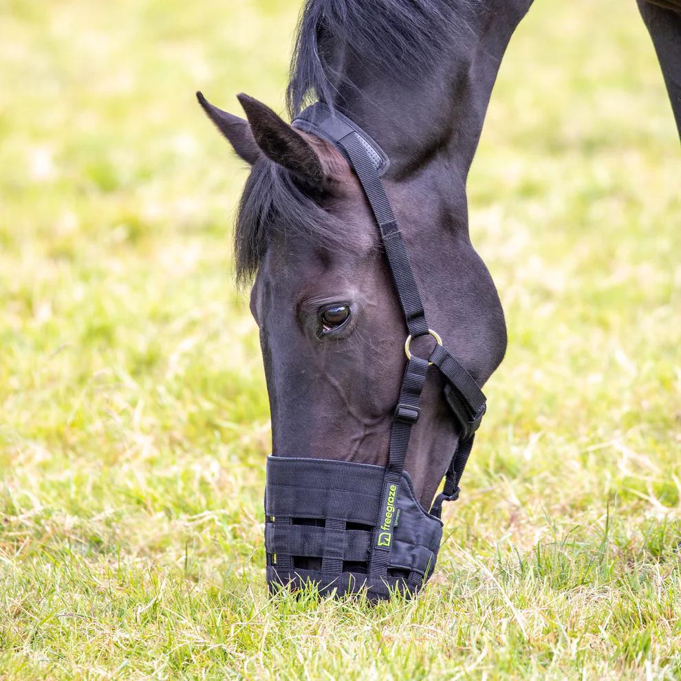 FreeGraze Comfort Grazing Muzzle