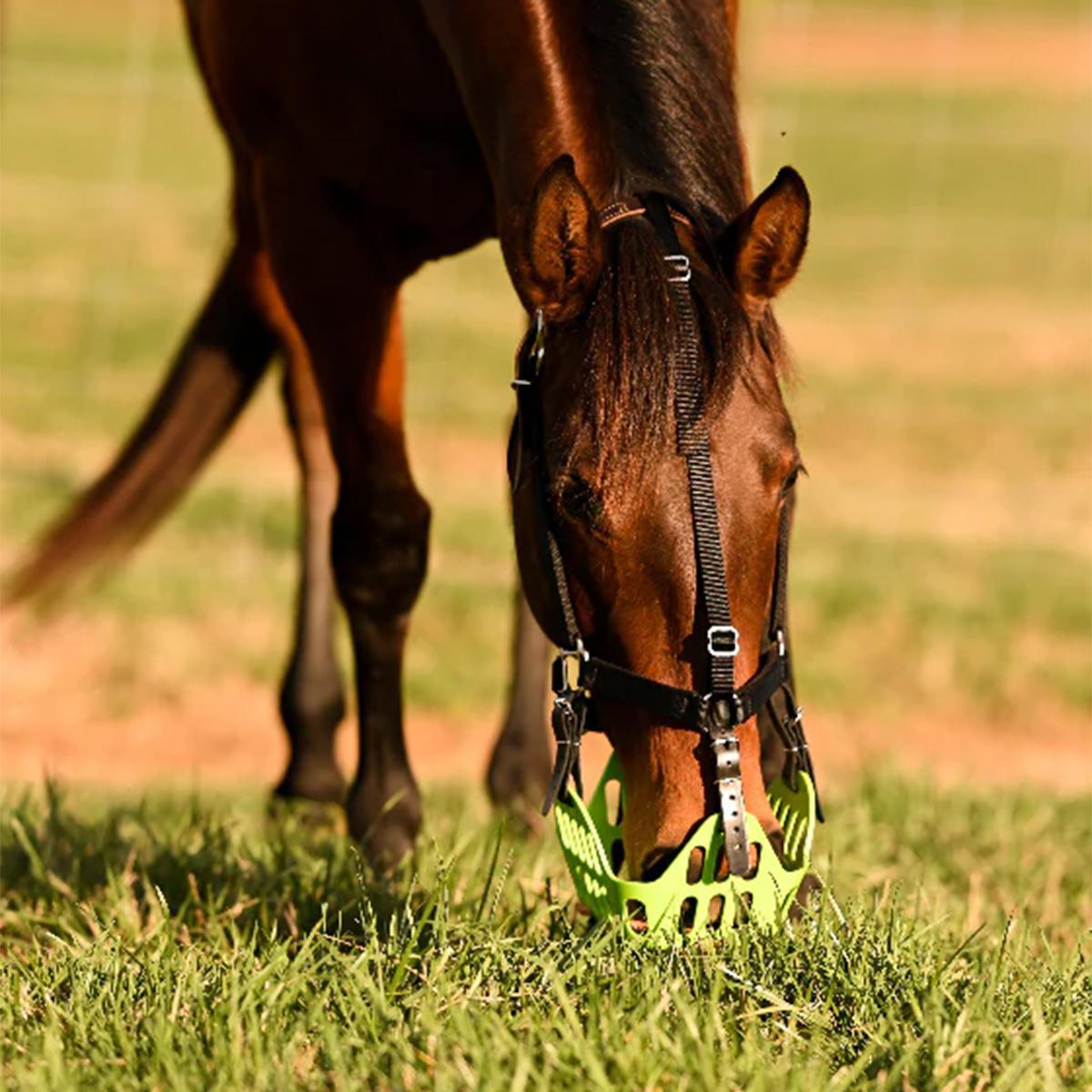 GG Equine GreenGuard Grazing Muzzle