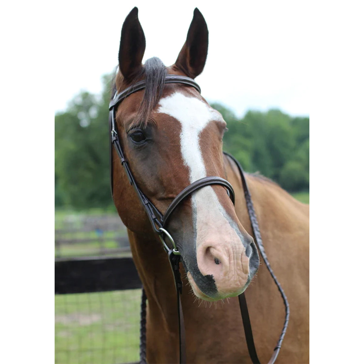 HDR Pro Fancy Raised Bridle with Laced Reins