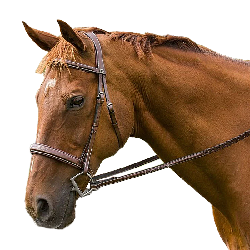 HDR Pro Mono Crown Bridle with Padded Wide Noseband with Laced Reins