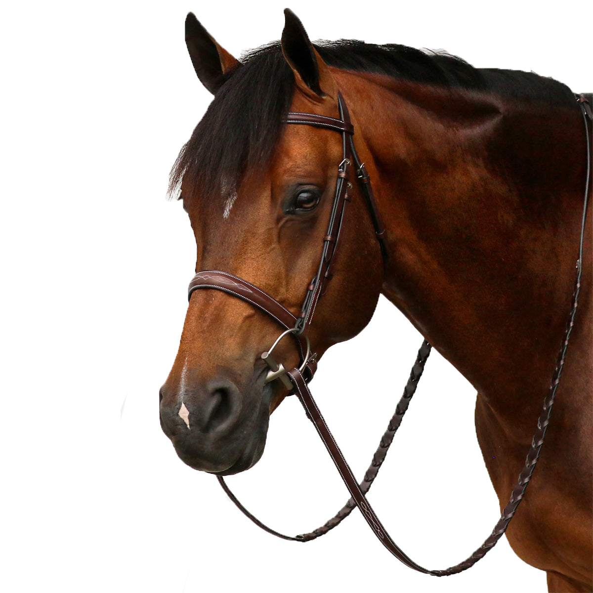 Equiline Scott Stewart Hunter Bridle