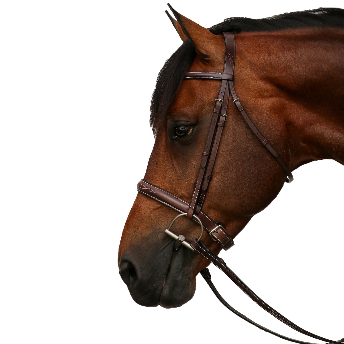 Equiline Scott Stewart Hunter Bridle