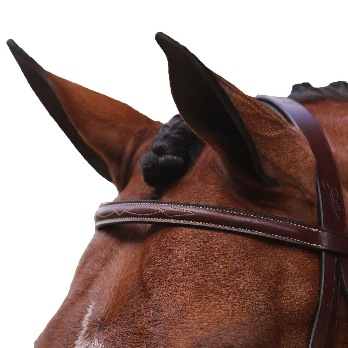 Equiline Scott Stewart Hunter Bridle