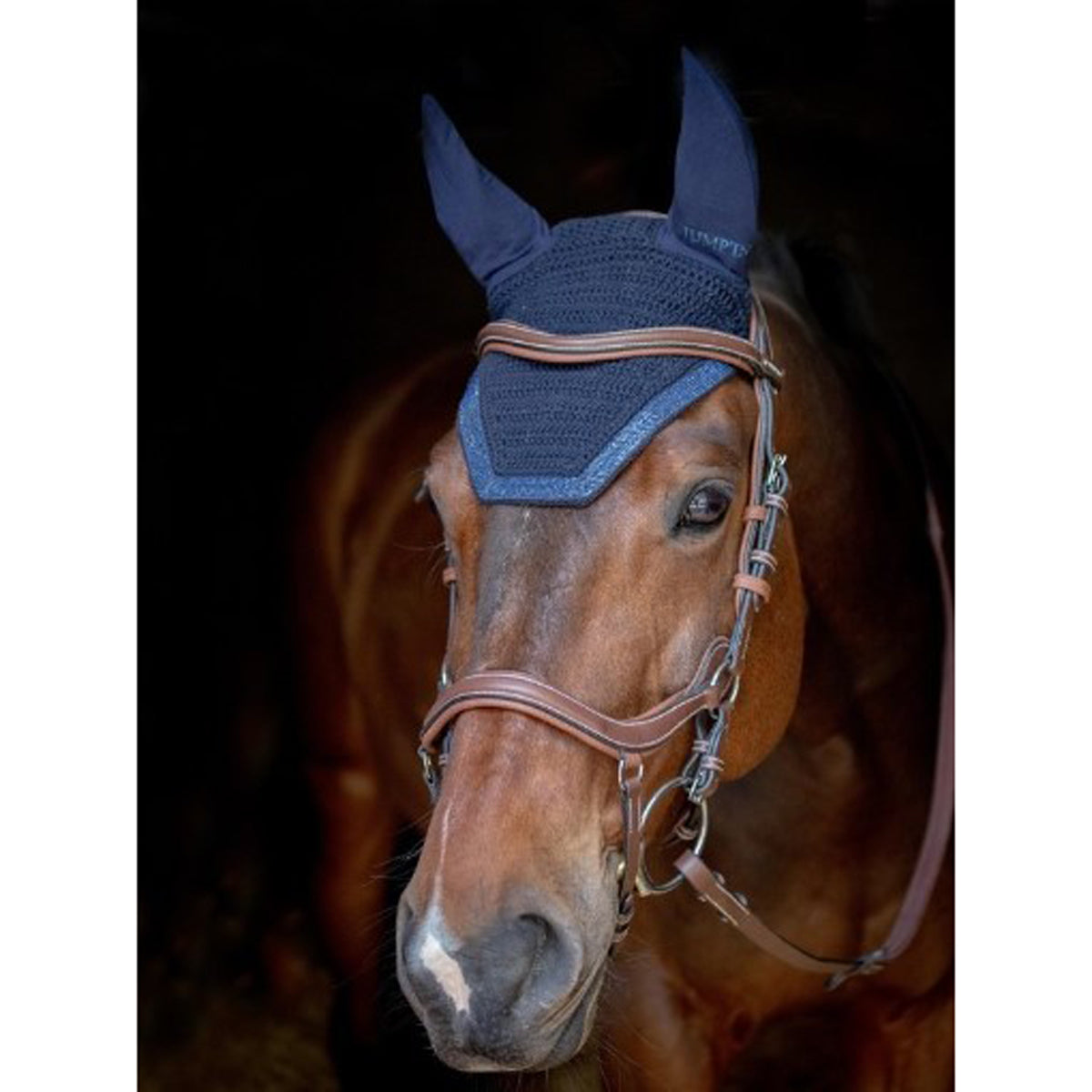 Jump'in Glitter Fly Veils