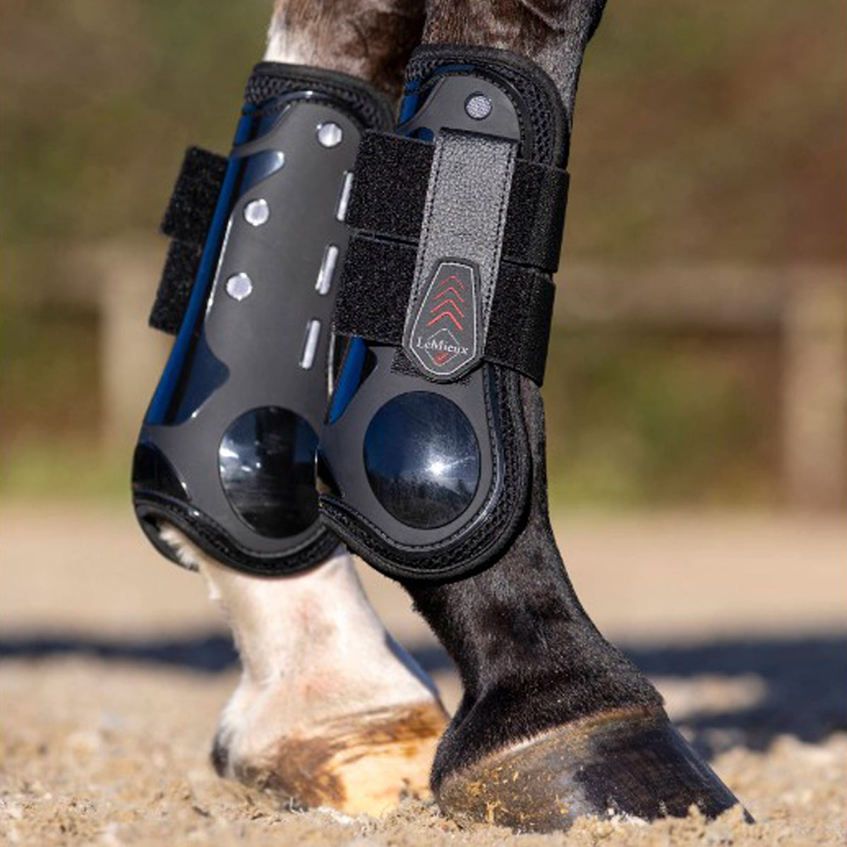 LeMieux Derby ProJump Tendon Boot