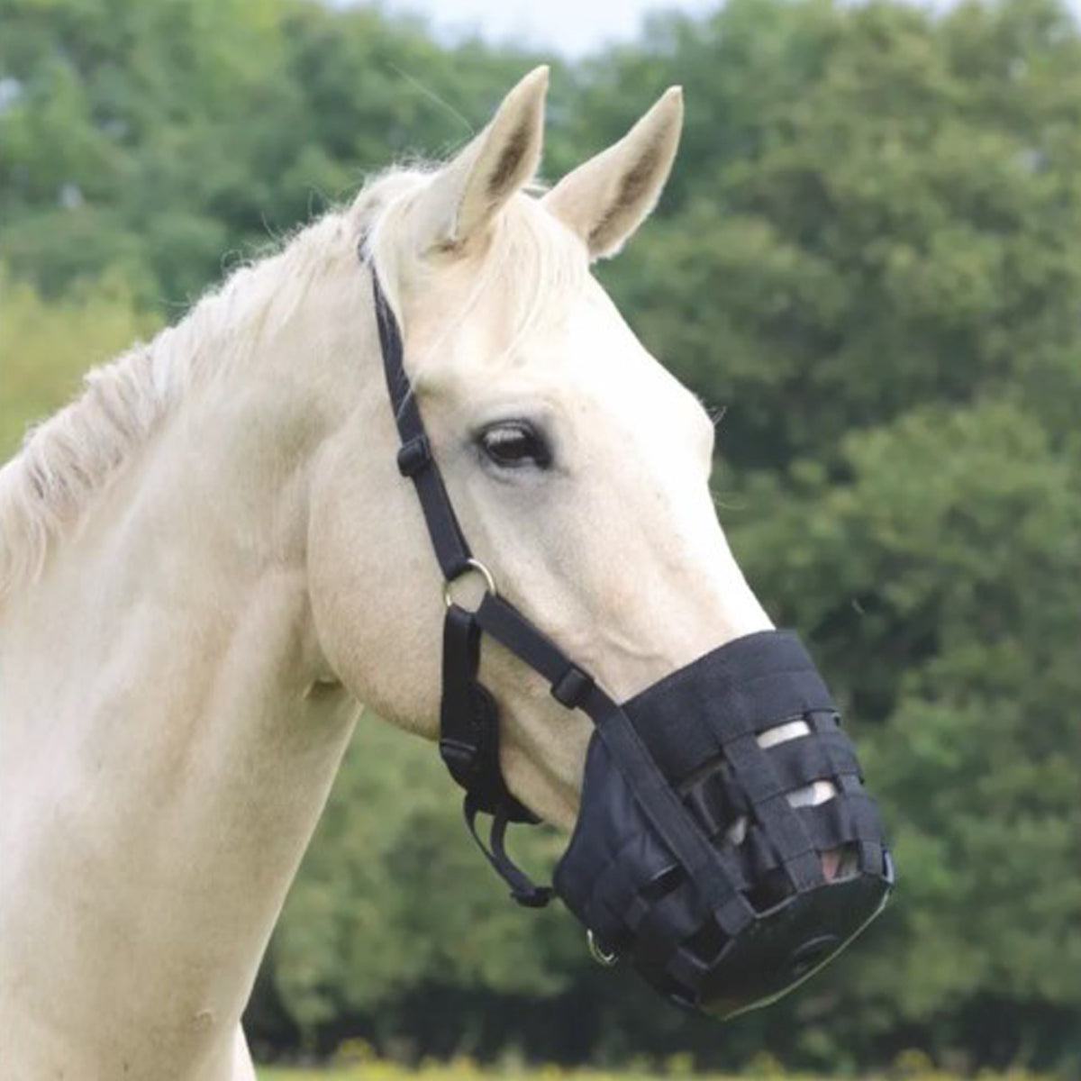 FreeGraze Comfort Grazing Muzzle