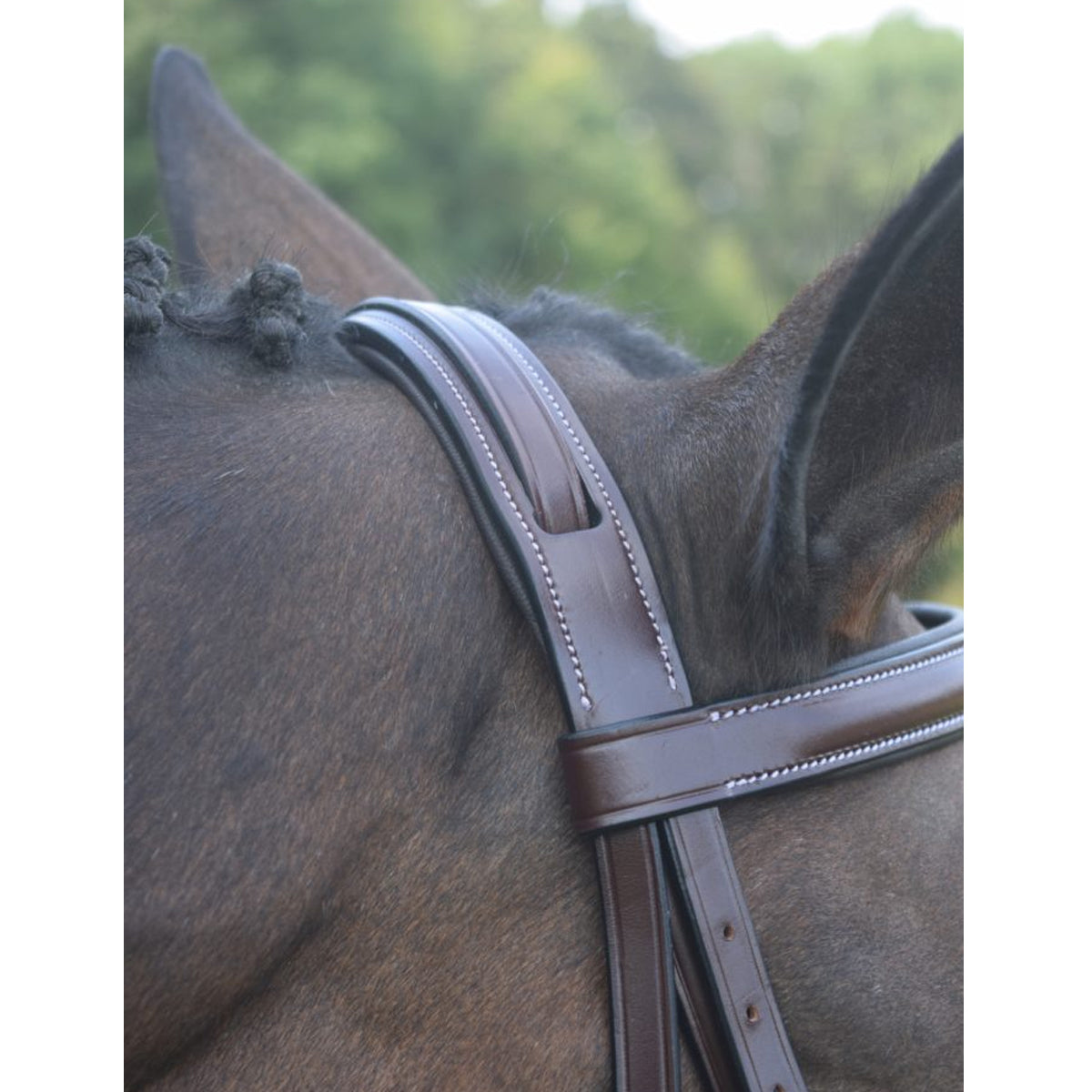 Red Barn by KL Select Spirit Hunter Bridle