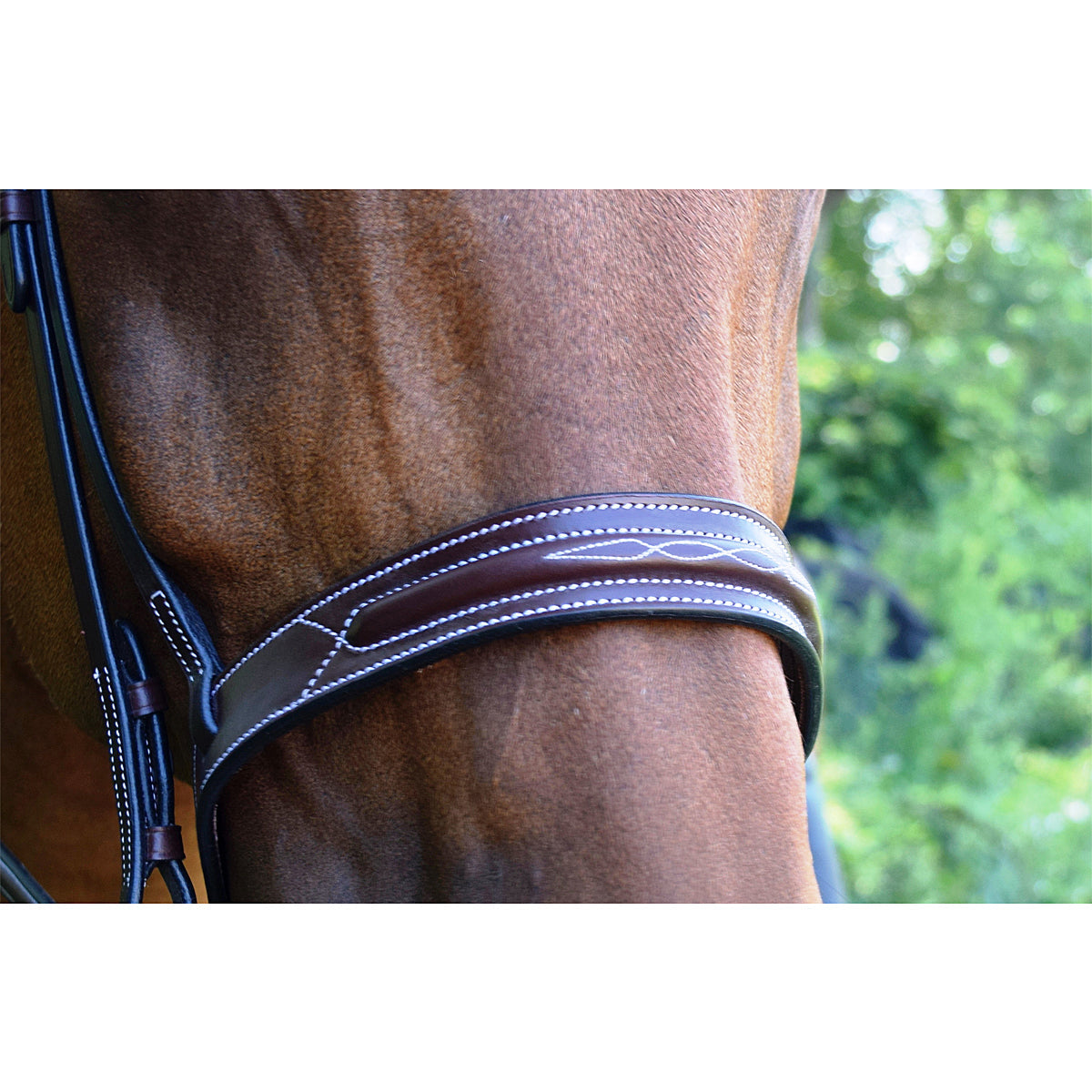 Red Barn by KL Select Sonoma Hunter Bridle