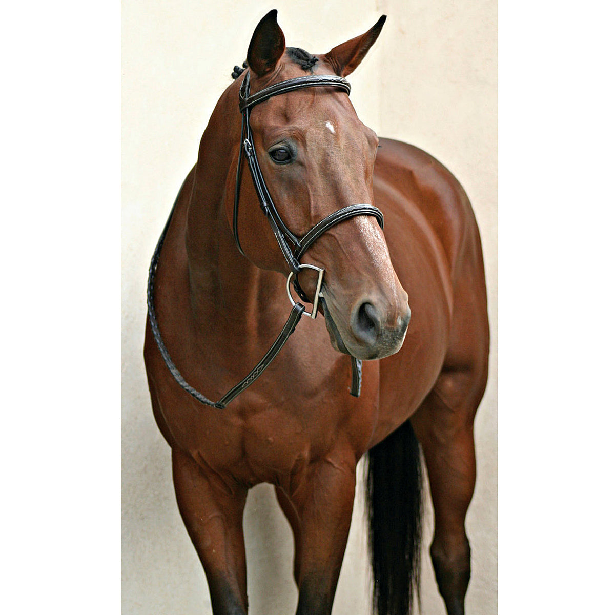 Nunn Finer Elena Hunter Bridle