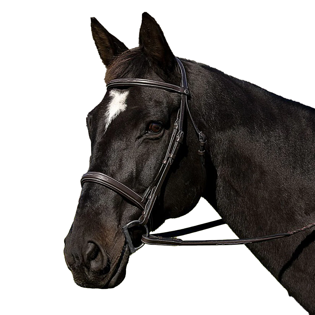 HDR Pro Mono Crown Bridle with Padded Wide Noseband with Laced Reins