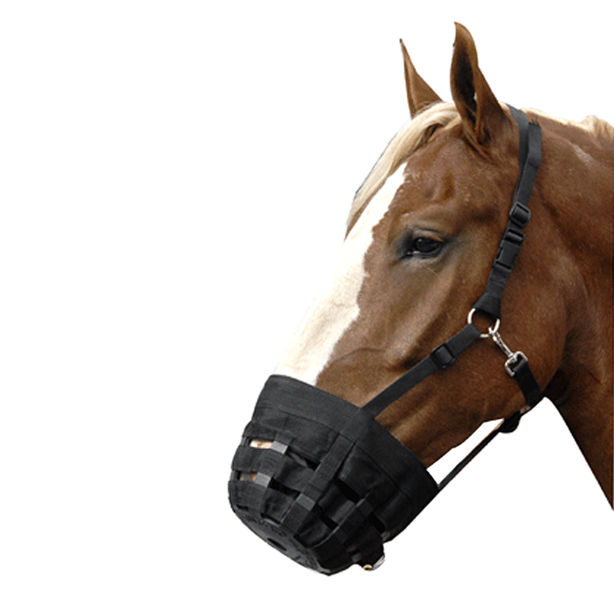 Best Friend Deluxe Grazing Muzzle