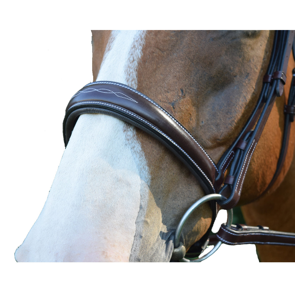 Red Barn by KL Select Ocala Hunter Bridle