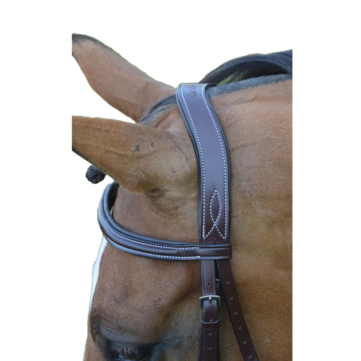 Red Barn by KL Select Ocala Hunter Bridle