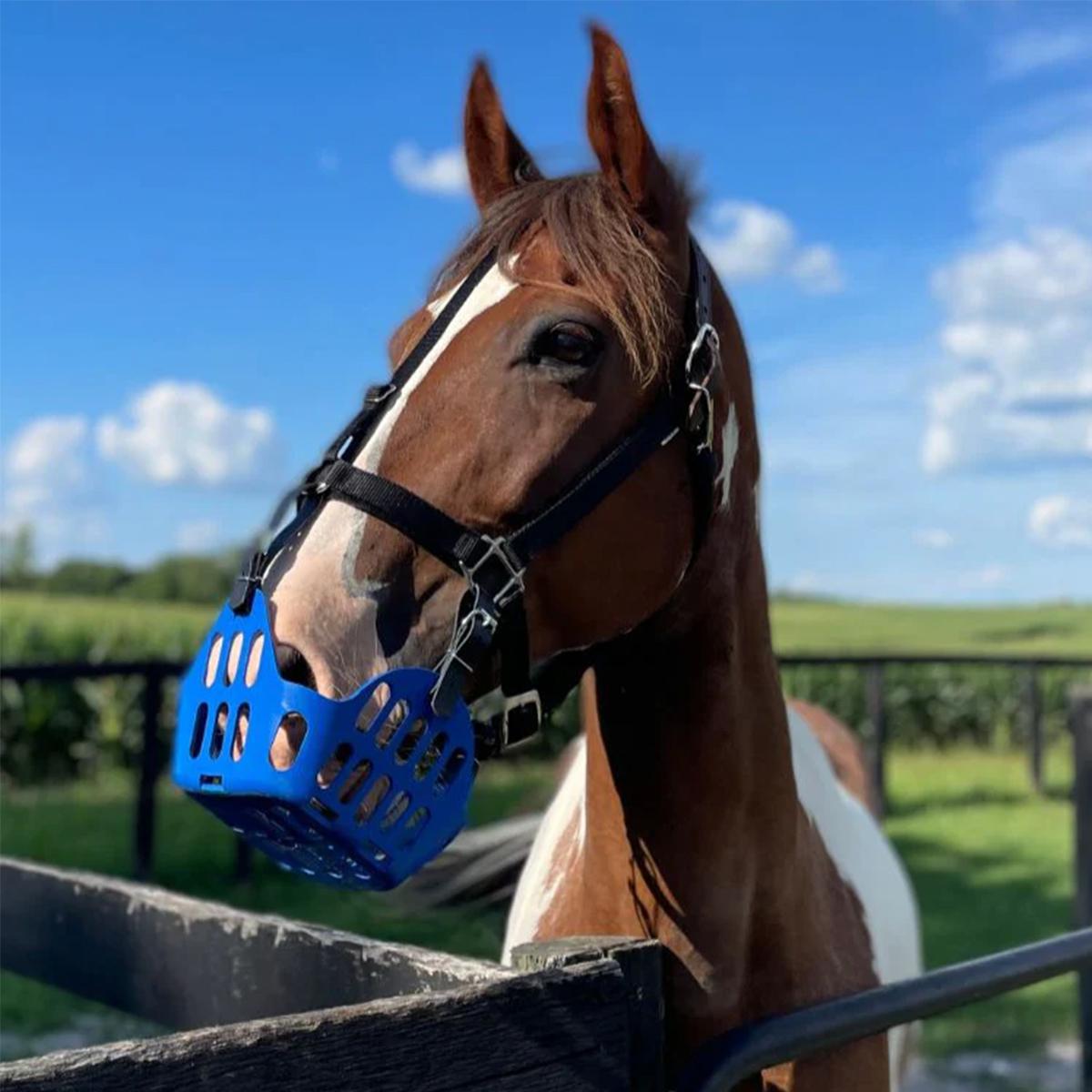 GG Equine GreenGuard Grazing Muzzle