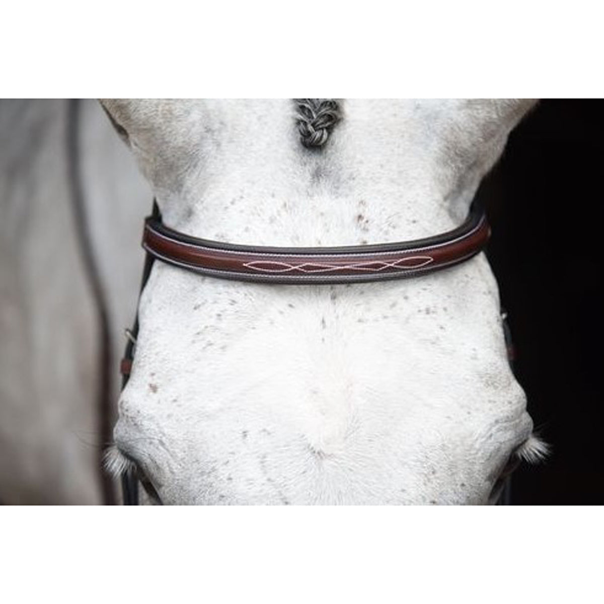 KL Select Italia Middleburg Hunter Bridle
