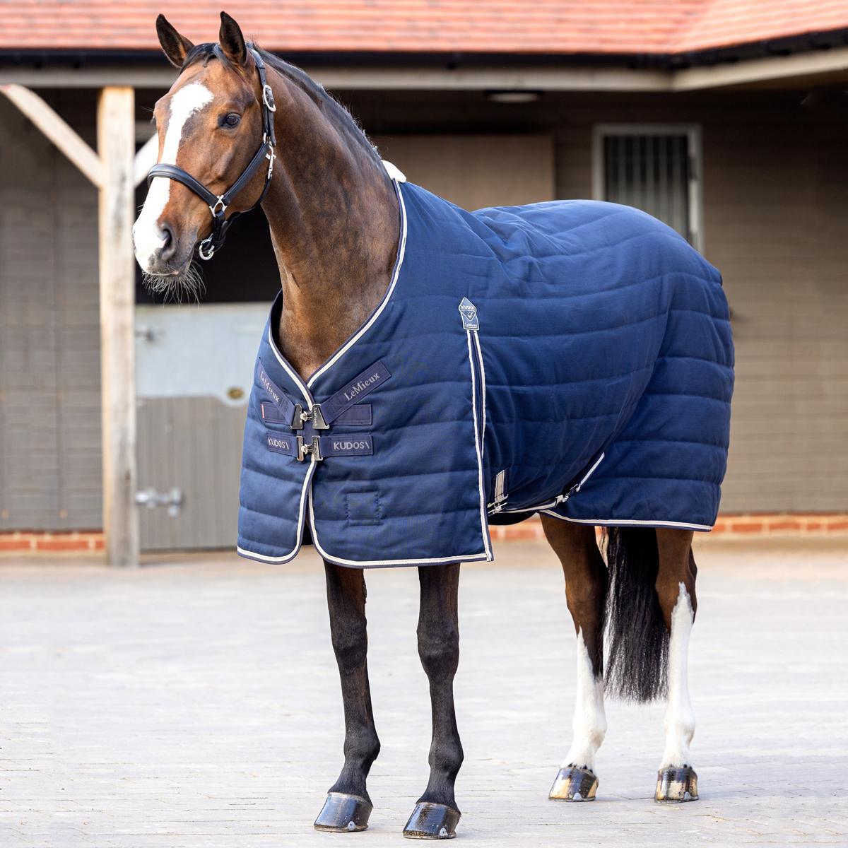 LeMieux Kudos 100g Stable Blanket