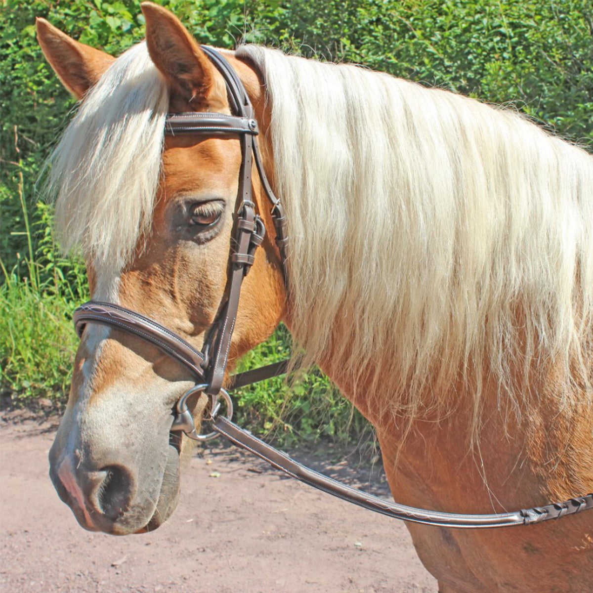 HDR Pro Fancy Raised Comfort Crown Padded Bridle with Fancy Raised Reins