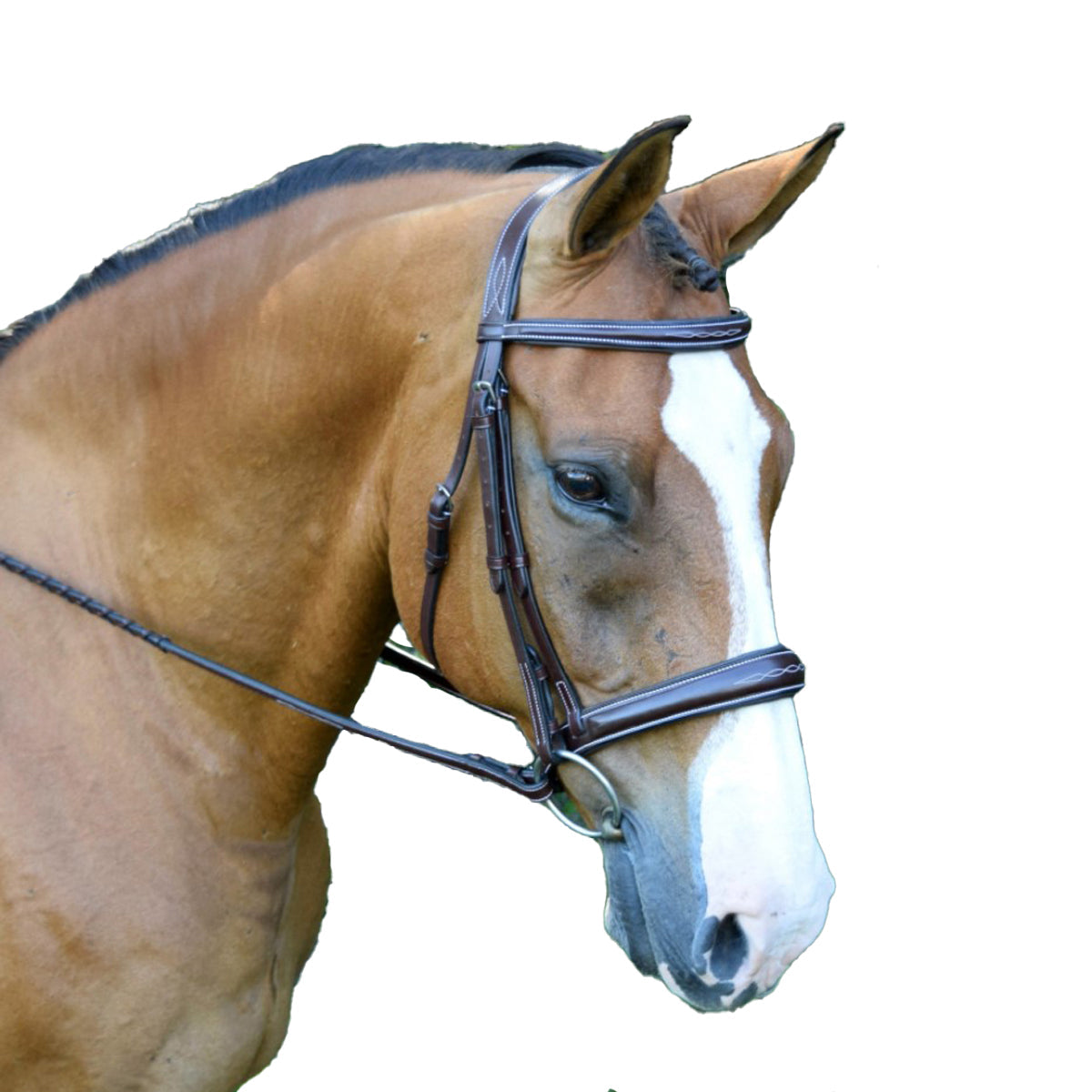 Red Barn by KL Select Ocala Hunter Bridle