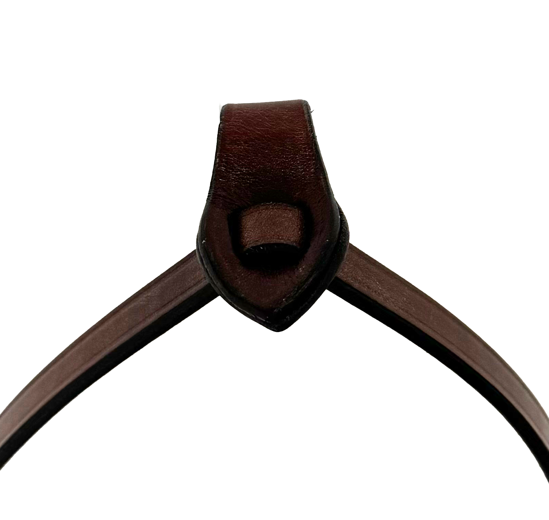AJR Hunter Bridle Flash Attachment