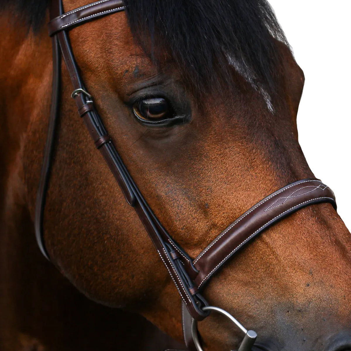 Equiline Scott Stewart Hunter Bridle