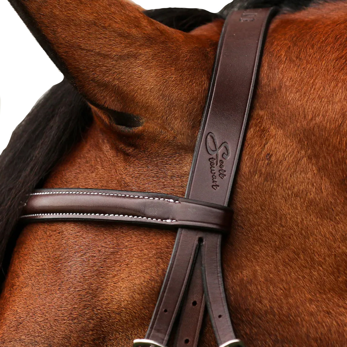 Equiline Scott Stewart Hunter Bridle