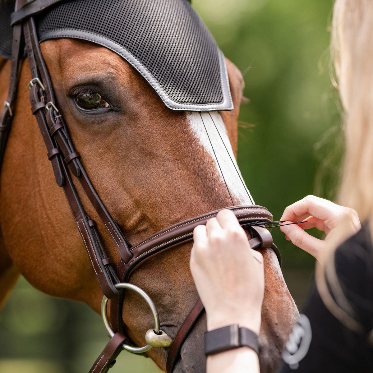 EquiFit HeadsUp Ear Bonnet