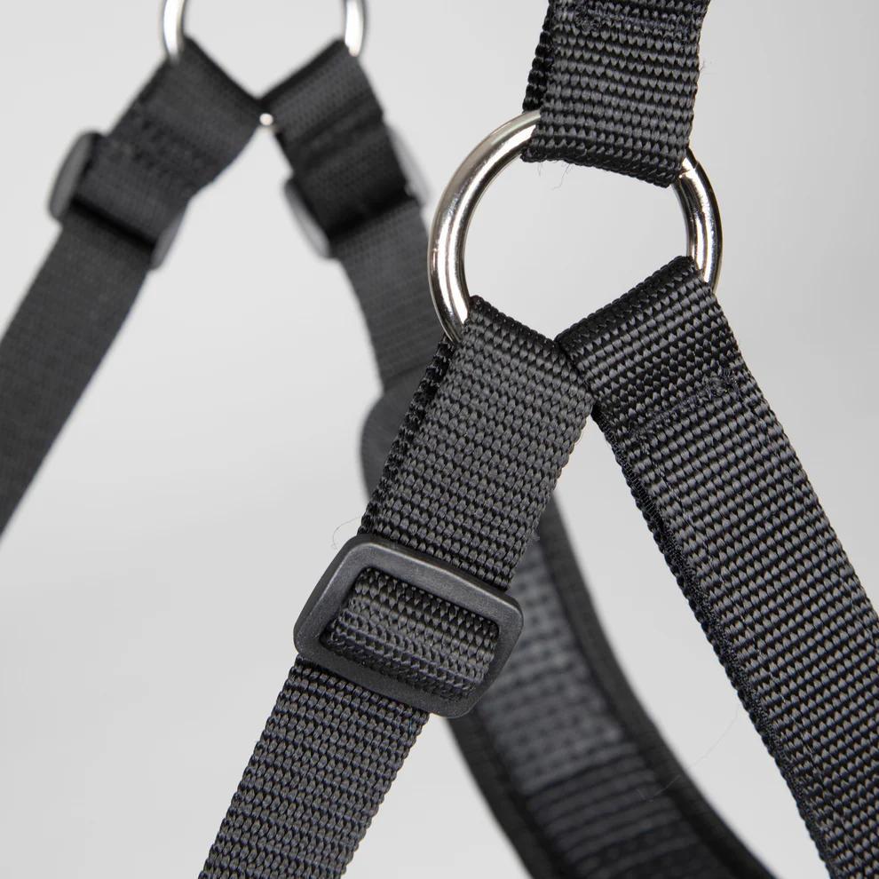 FreeGraze Comfort Grazing Muzzle