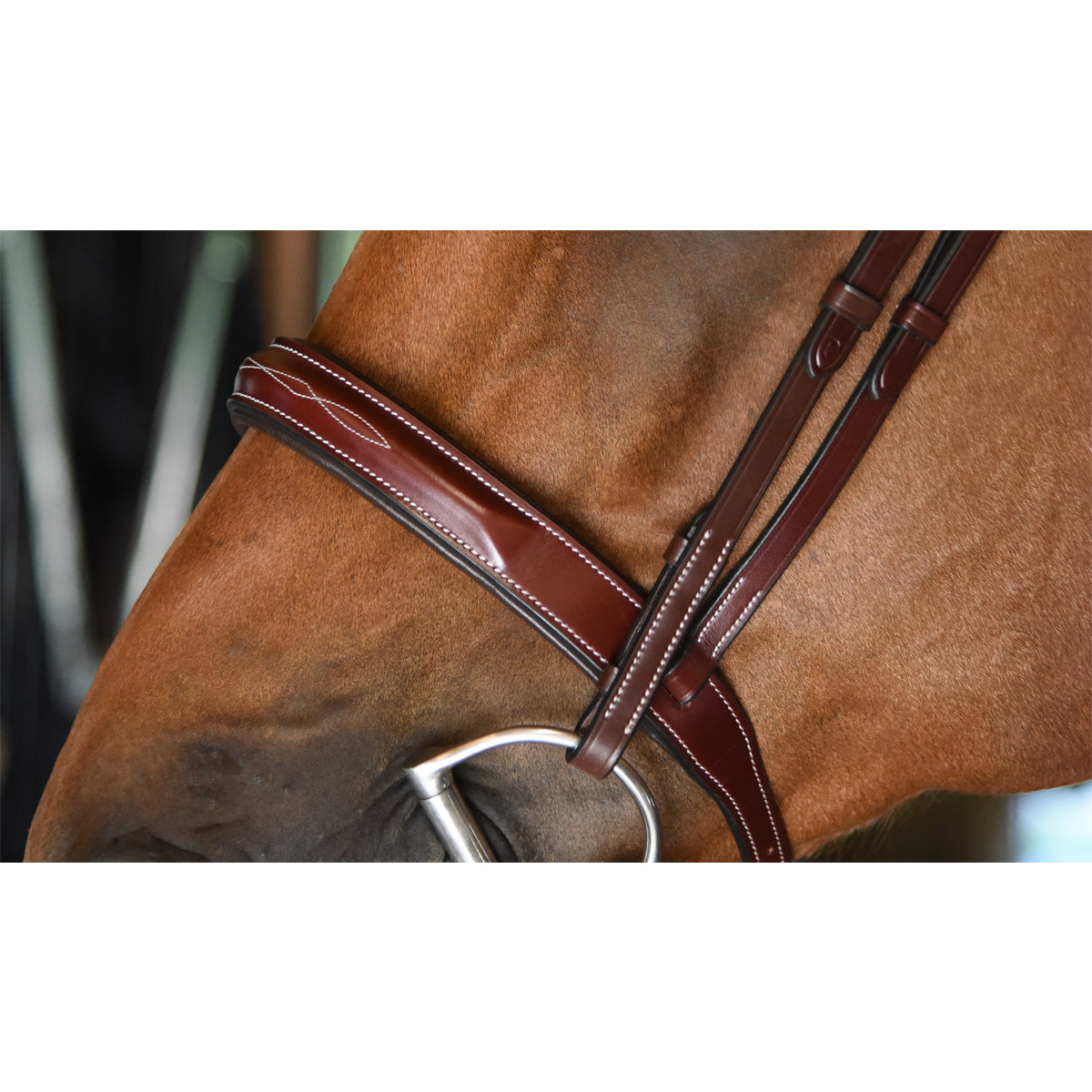 KL Select Italia Tuscany Hunter Bridle