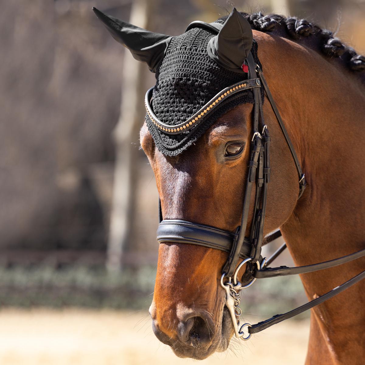 LeMieux Vogue Fly Hood